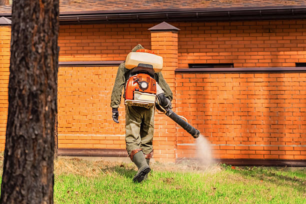Trusted Rodent Control service in Hewlett Harbor, NY - Nex Pest Control